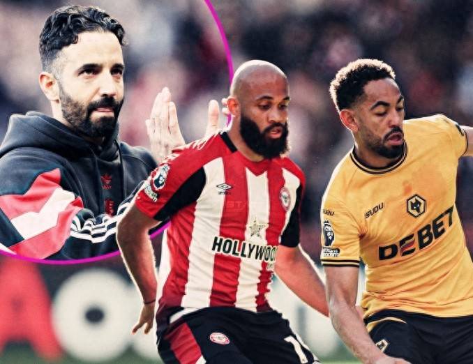 新签的球员 新签的球员