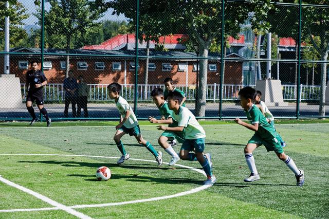 img, 竞技与交流, 体育精神 img, 竞技与交流, 体育精神