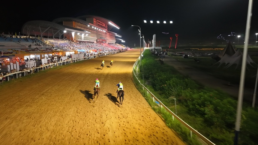 动人心的赛, tenan